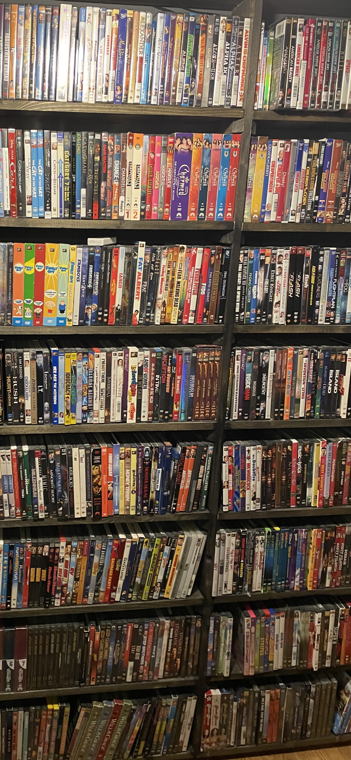 DVD S – Bird n' Squirrel