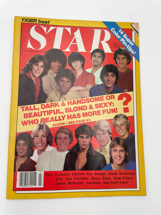 Tiger Beat Stars Magazine - Feb/March 1981 #102087