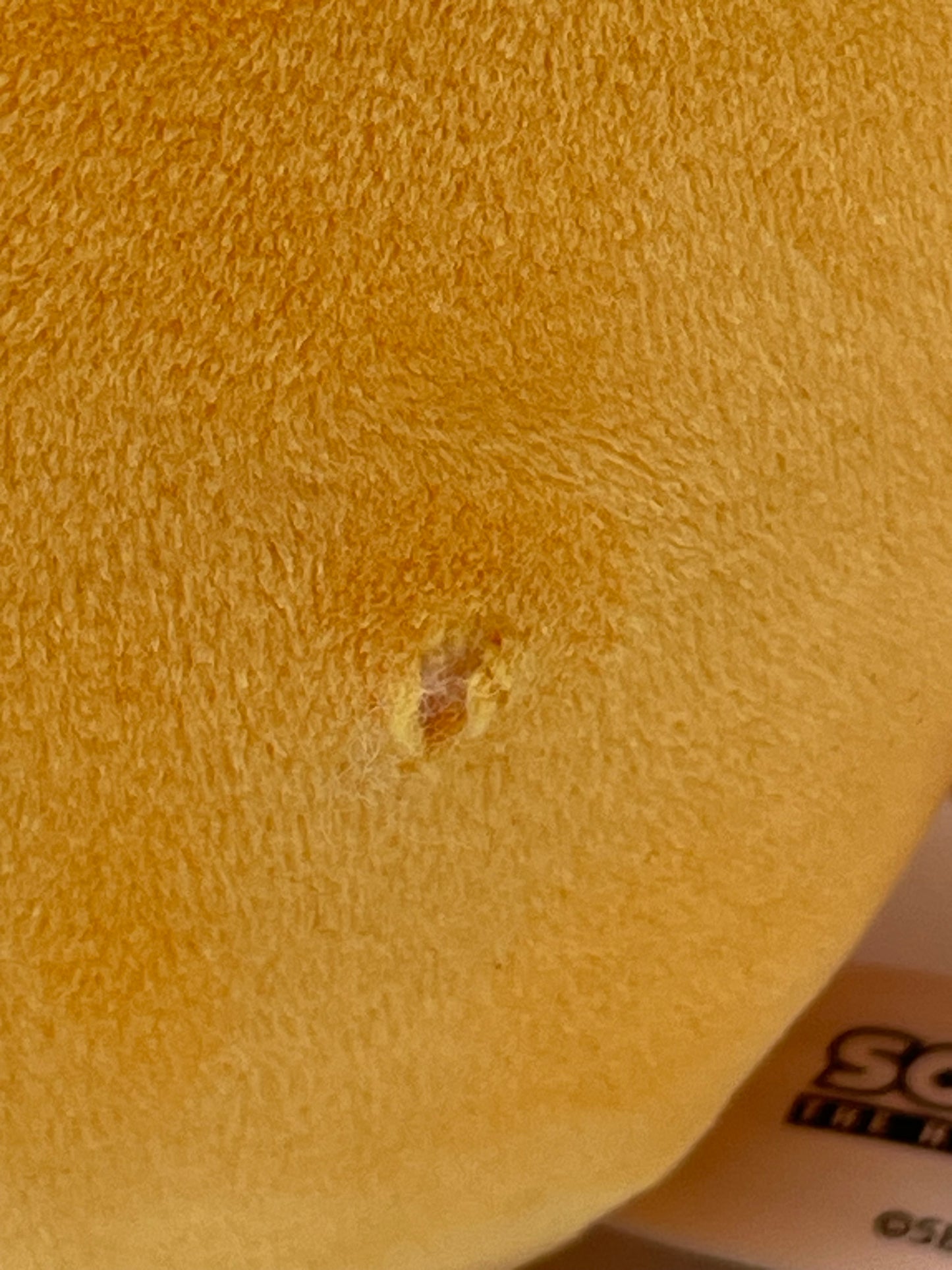 Sonic - Squishmallow - Tails 2024 #104580