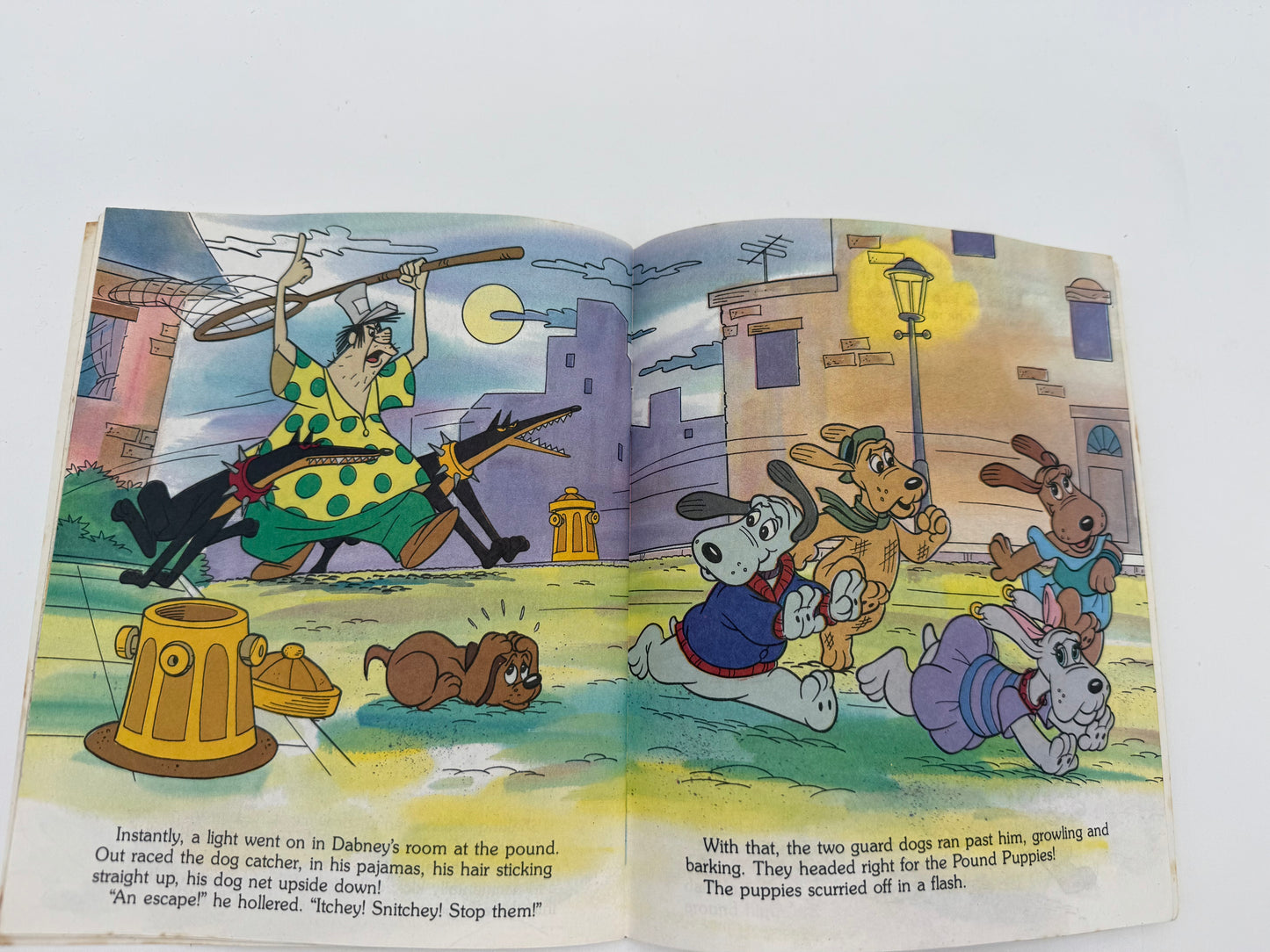 Pound Puppies - Softcover Book - A Bark in the Dark 1985 #105370