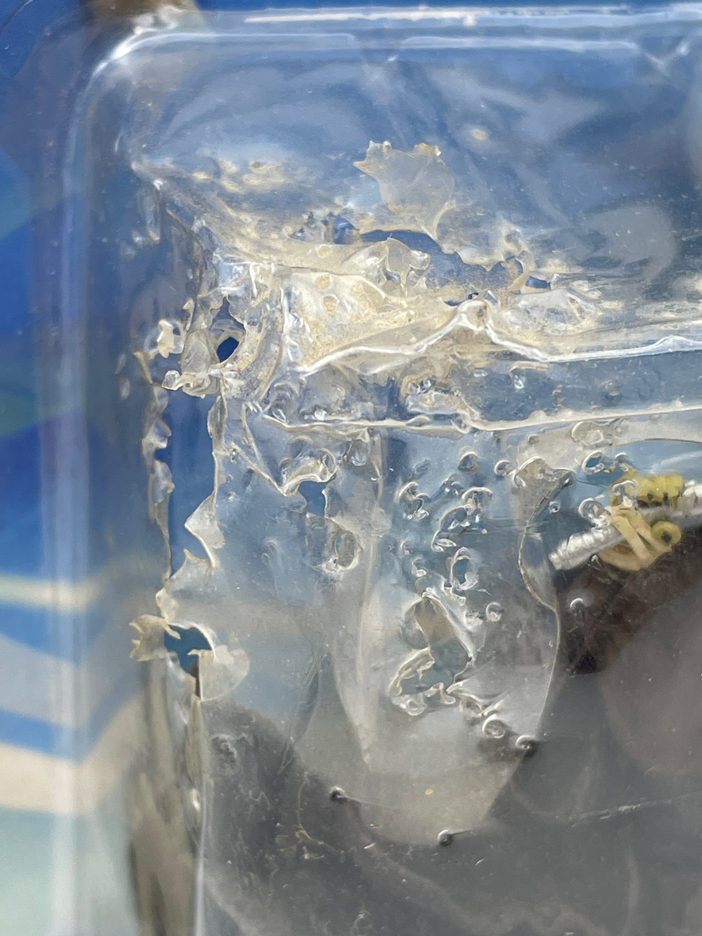 Star Wars - Luminara Unduli 2002 #101428