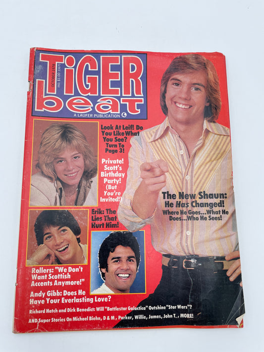 Tiger Beat Magazine - October 1978 #102093