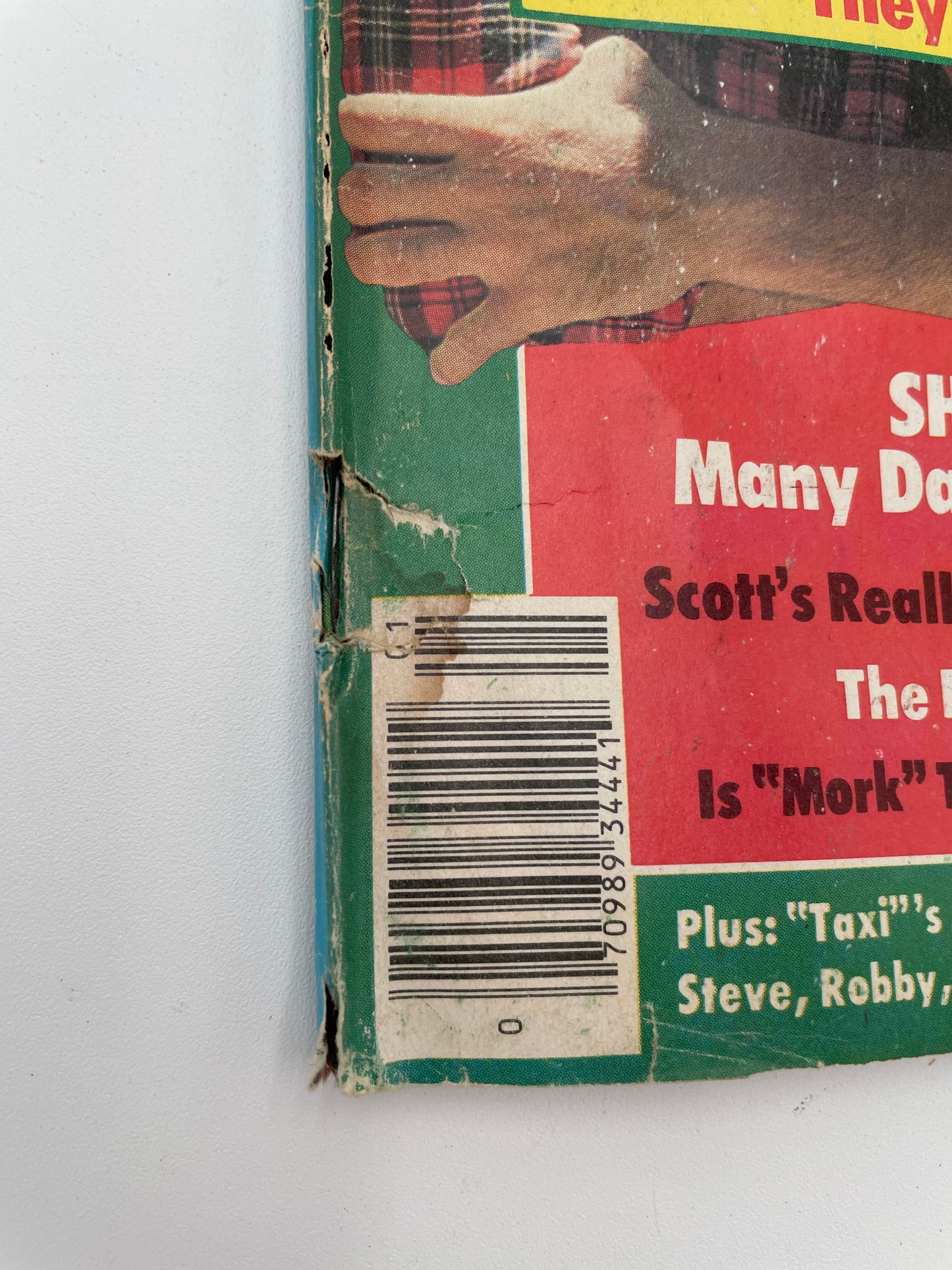 Tiger Beat Stars Magazine - January 1979 #102071