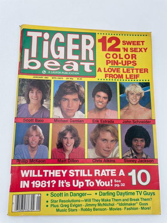 Tiger Beat Magazine - January 1981 #102114