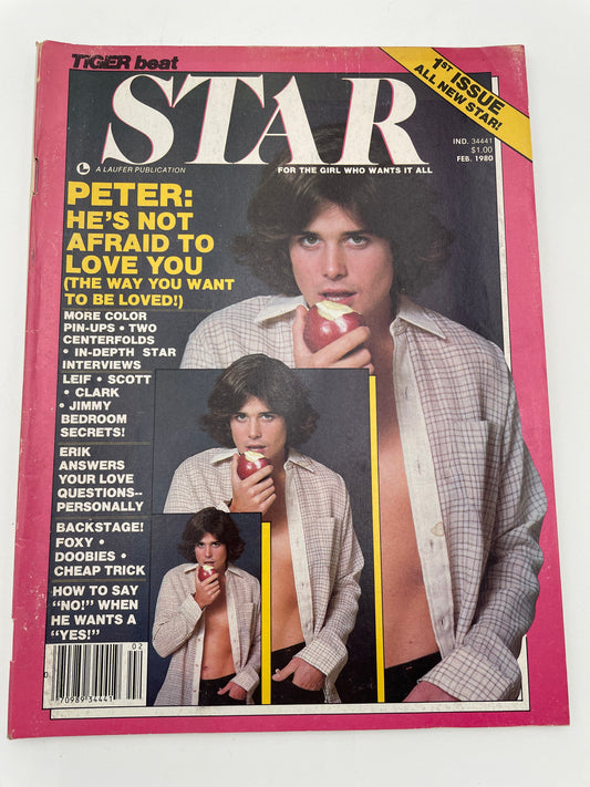 Tiger Beat Stars Magazine - February 1980 #102065