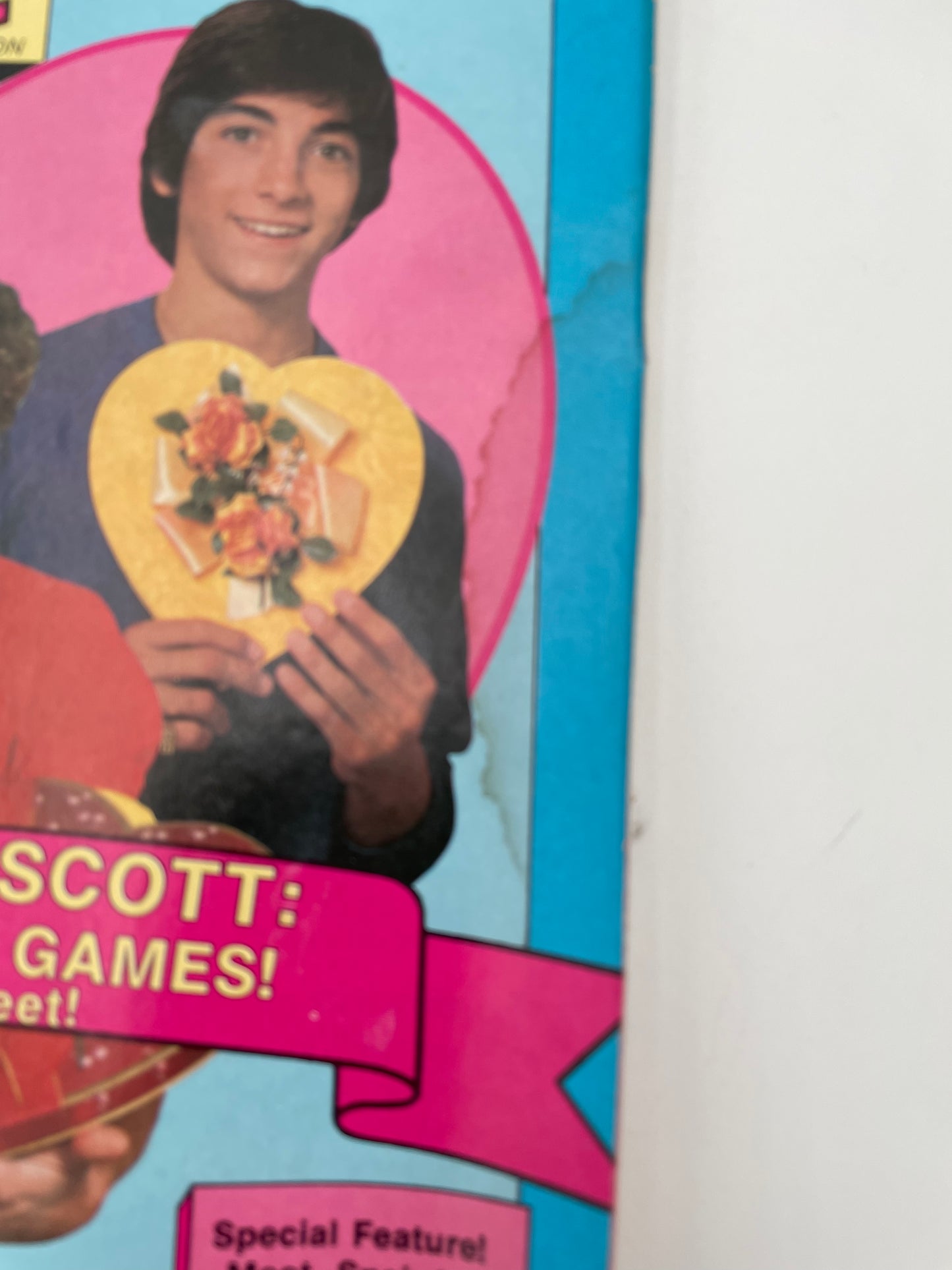 Tiger Beat Magazine - February 1981 #102105