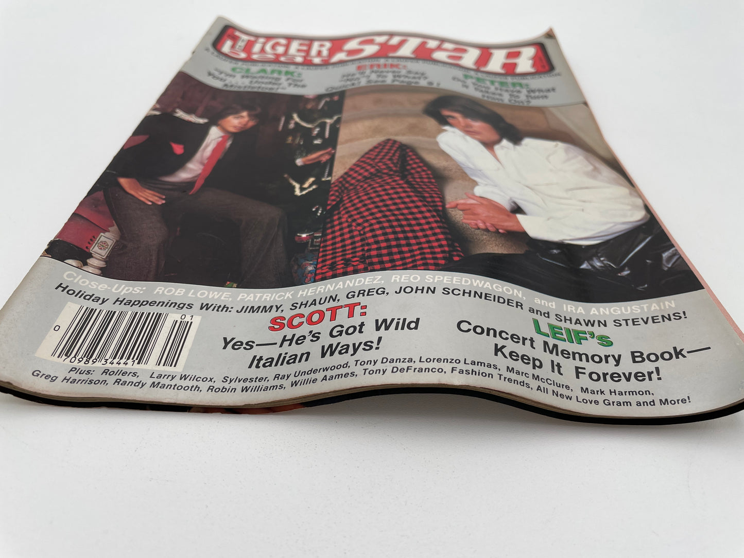 Tiger Beat Stars Magazine - January 1980 #102083