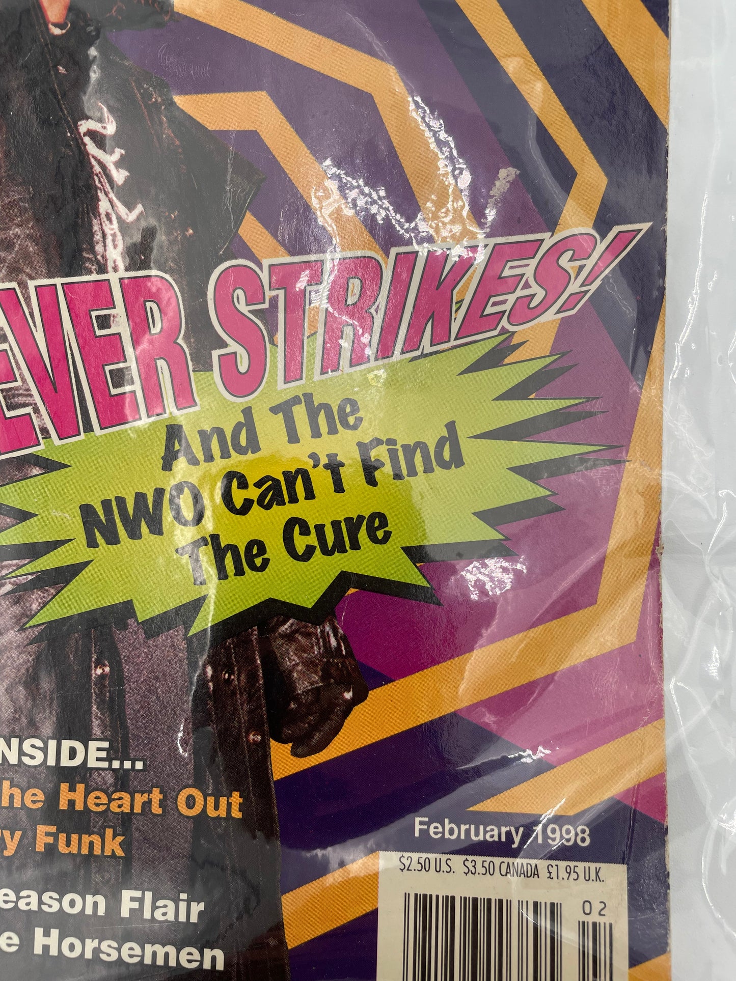 The Wrestler Magazine - Sting Fever Strikes - February 1998 #101624