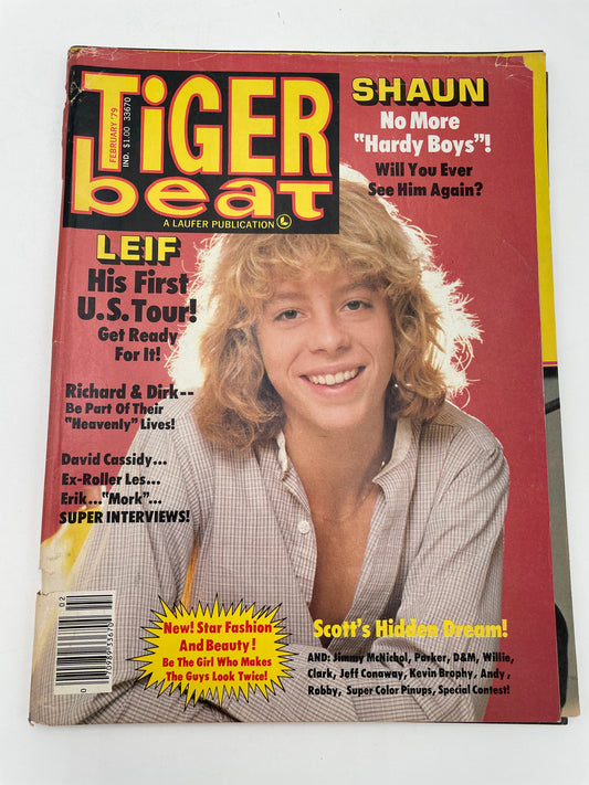 Tiger Beat Magazine - February 1979 #102122