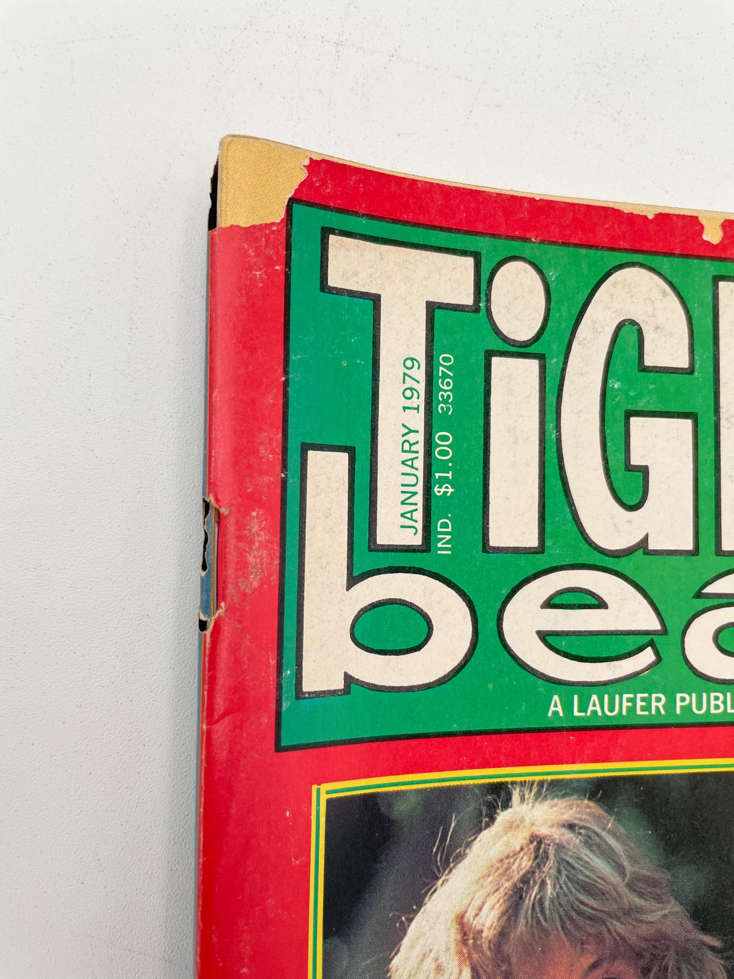 Tiger Beat Magazine - January 1979 #102099
