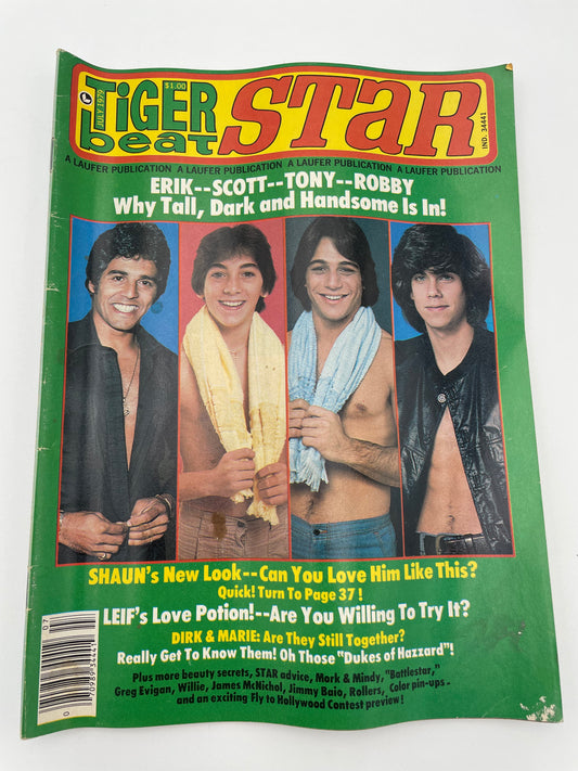 Tiger Beat Stars Magazine - July 1979 #102082