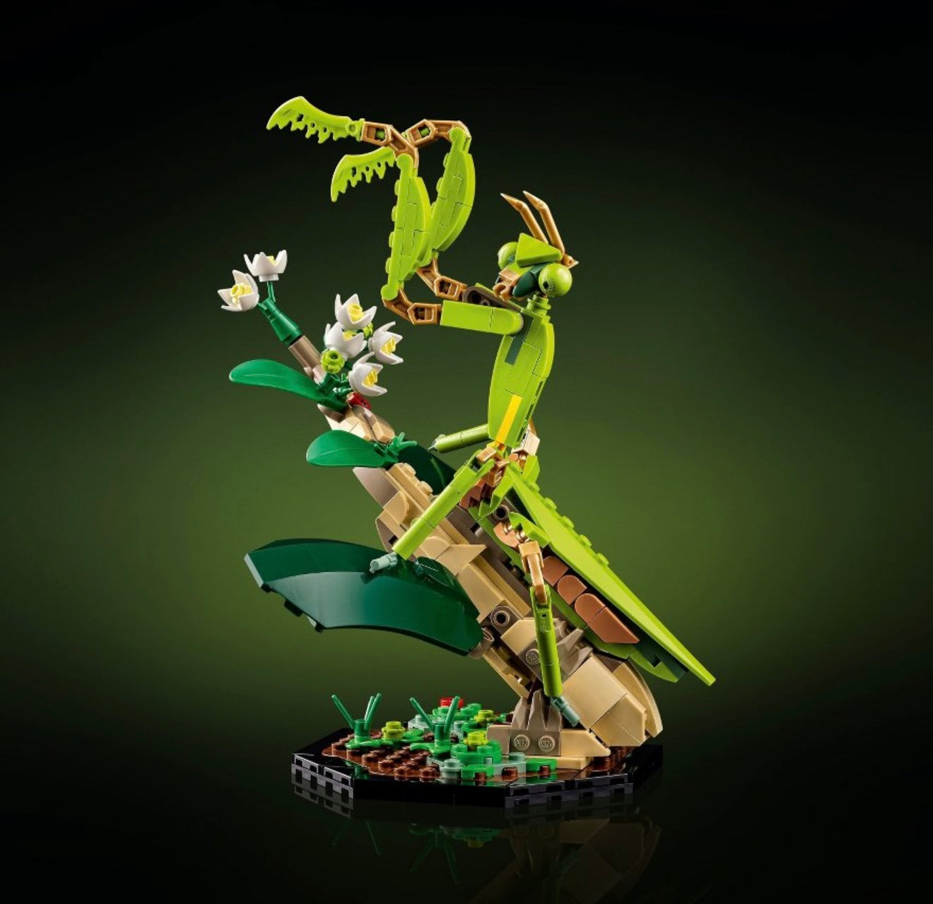 LEGO - 21342 The Insect Collection 2023 #107281