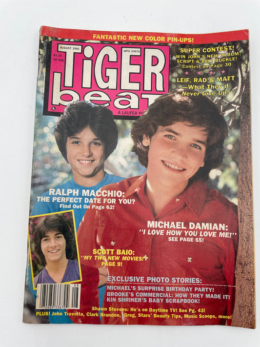 Tiger Beat Magazine - August 1981 #102100
