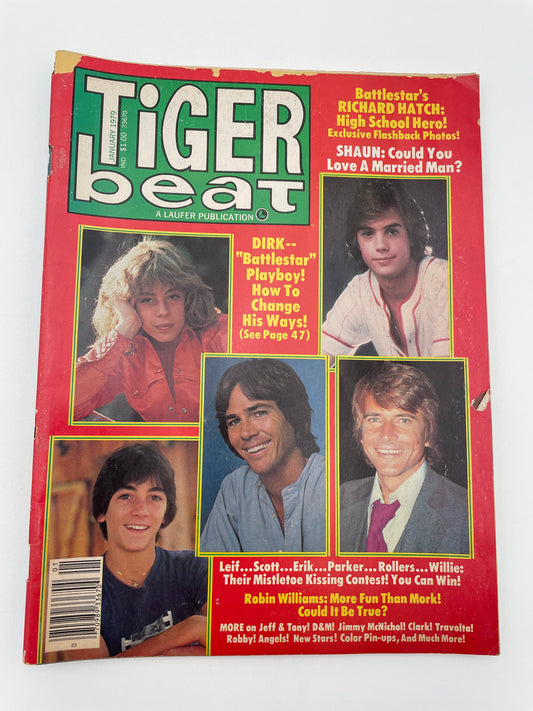 Tiger Beat Magazine - January 1979 #102099