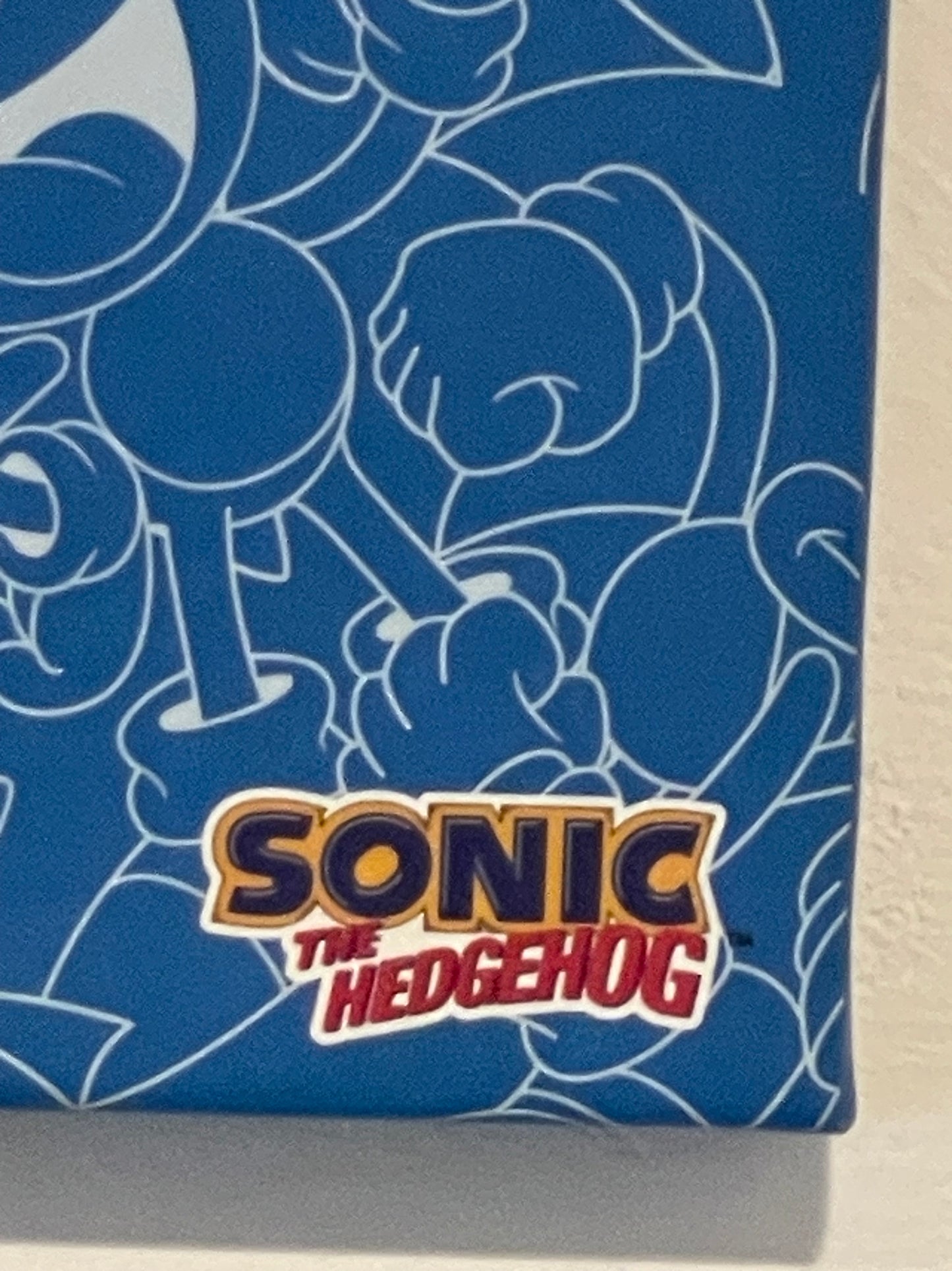 Sonic - Wall Decor - Canvas Print #104656