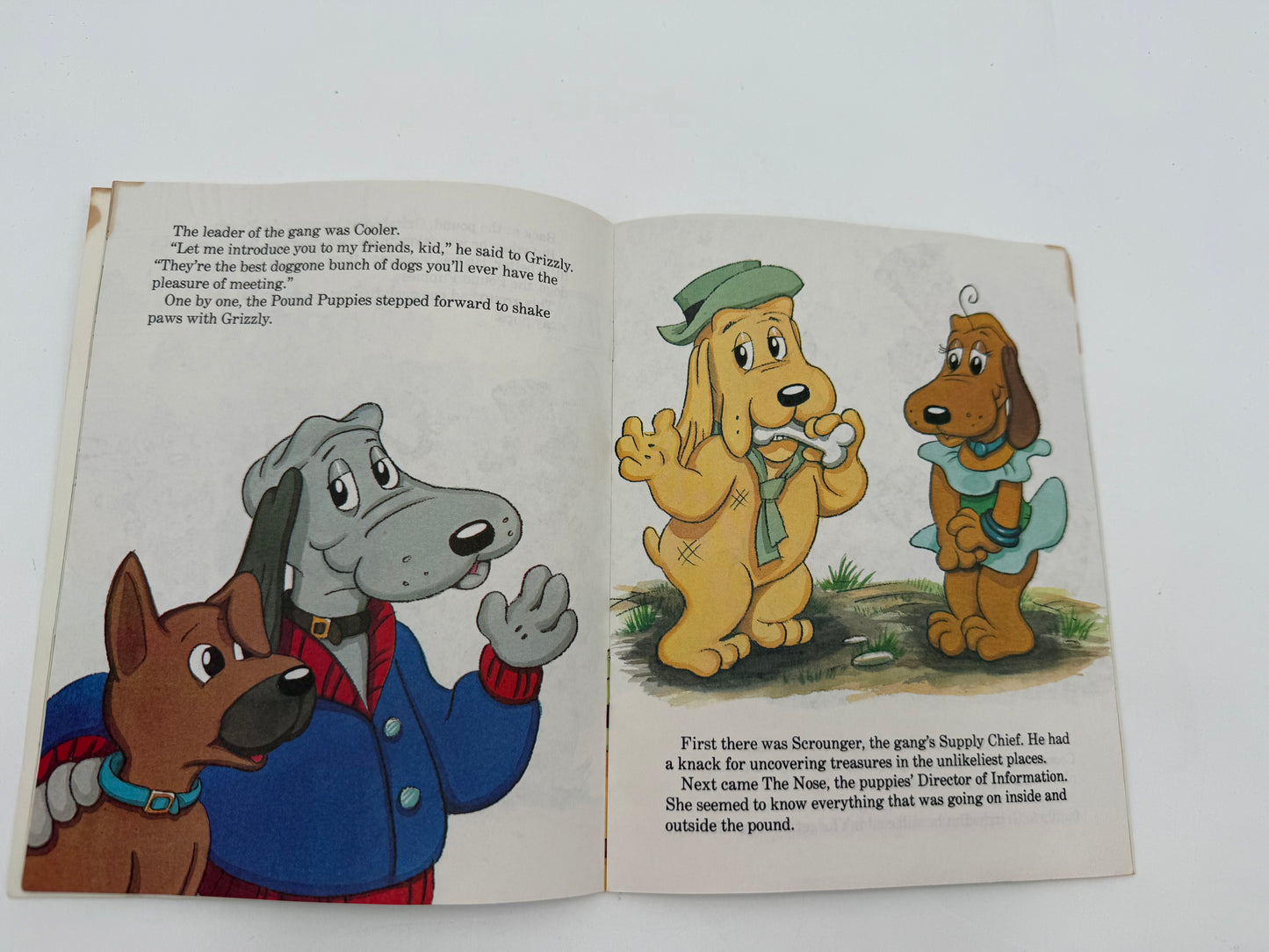 Pound Puppies - Softcover Book - Pick of the Litter 1986 #105369