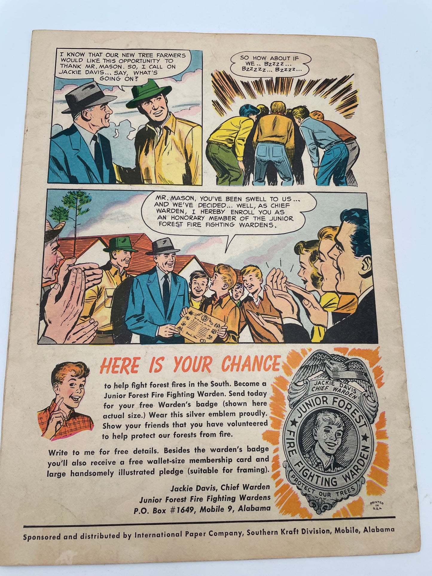 Comic - Little Tree That Went to School - 1952 #102219