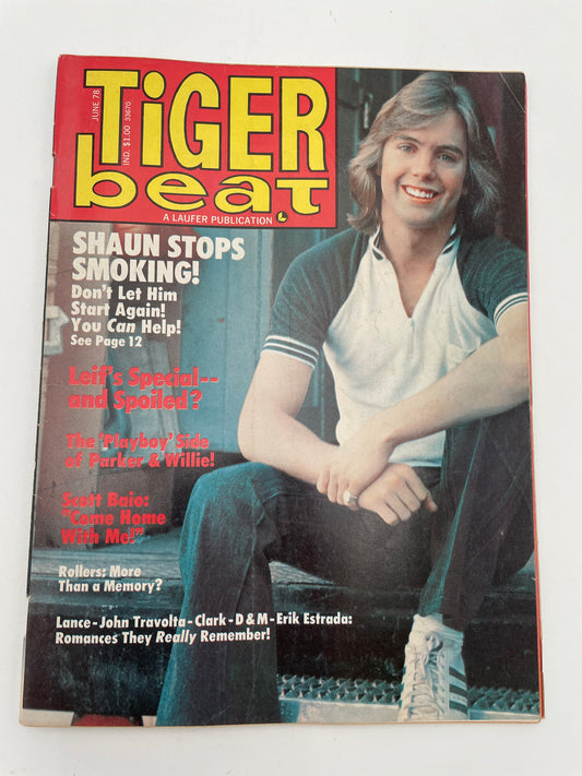 Tiger Beat Magazine - June 1978 #102120
