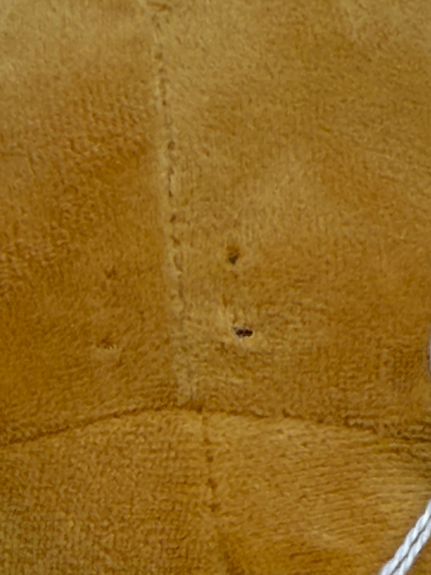 Pokémon - Plush - Bidoof 2023 #104967