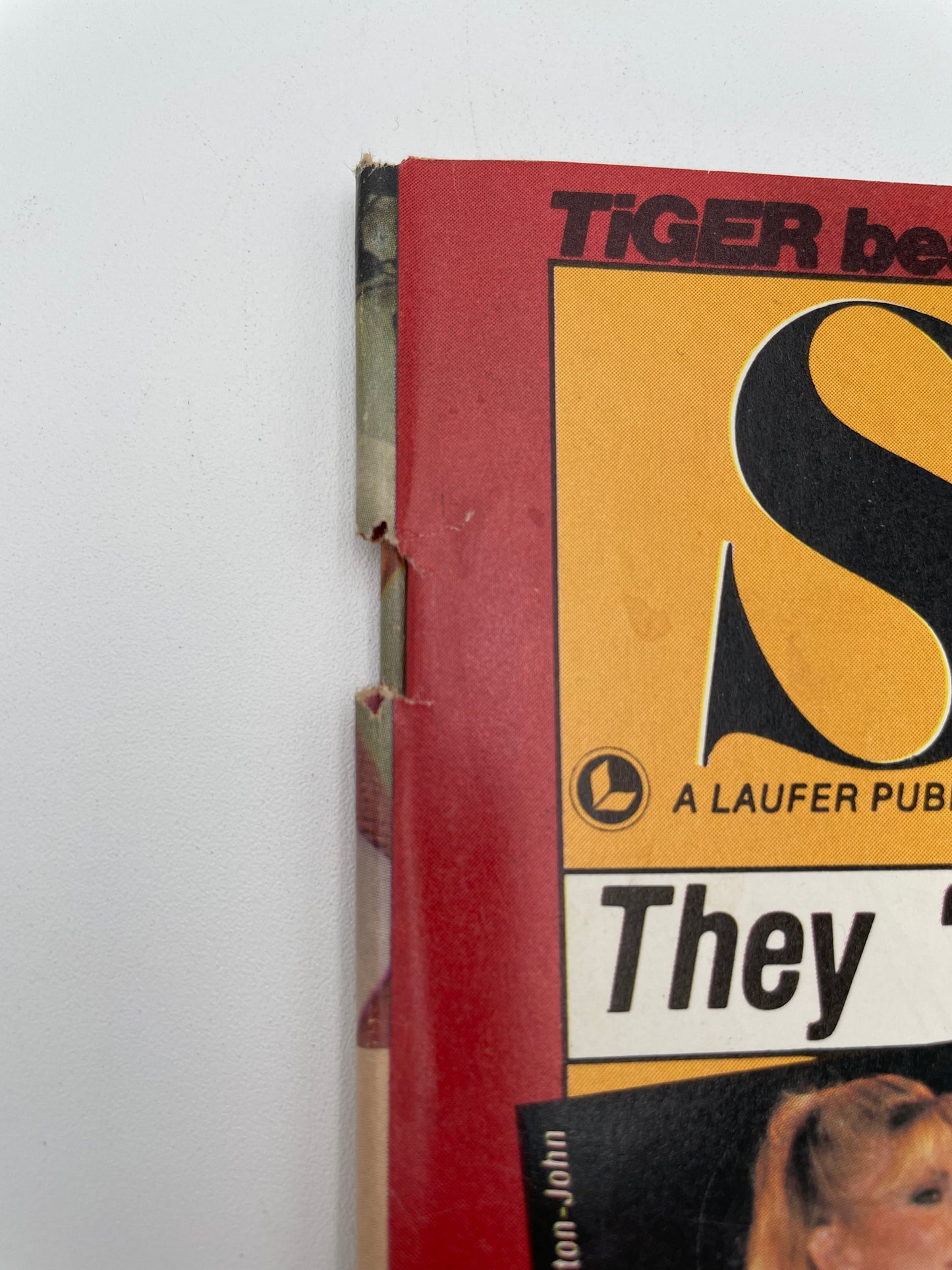 Tiger Beat Stars Magazine - August 1980 #102076
