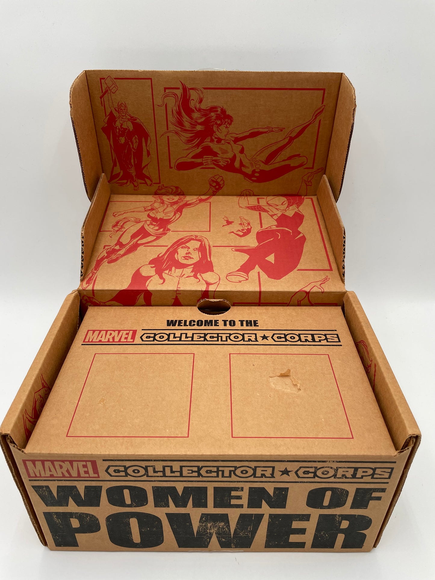 Marvel - Funko - Collector Corps EMPTY Box - Women of Power - #102767
