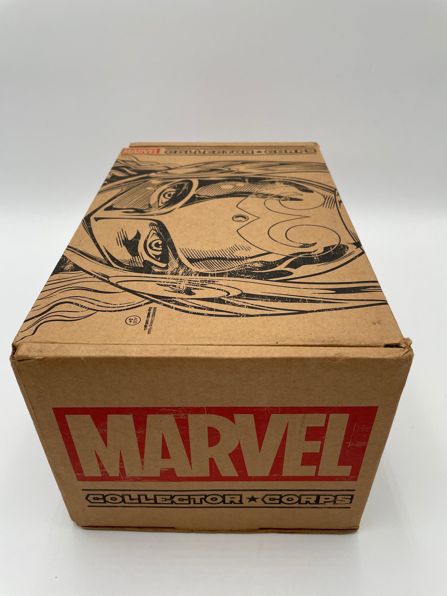 Marvel - Funko - Collector Corps EMPTY Box - Secret Wars - #102763