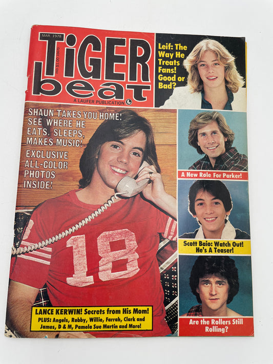 Tiger Beat Magazine - March 1978 #102118