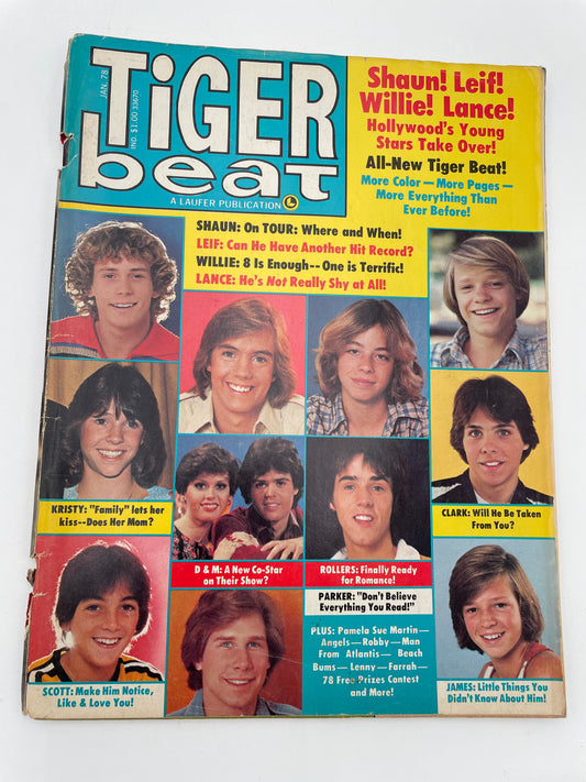 Tiger Beat Magazine - January 1978 #102109