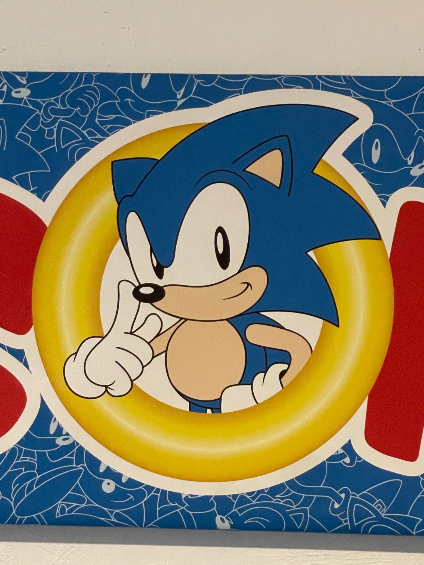 Sonic - Wall Decor - Canvas Print #104656