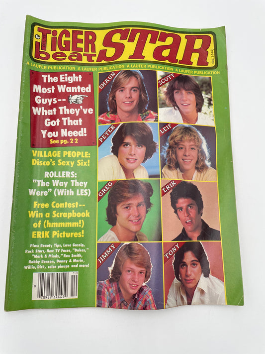 Tiger Beat Stars Magazine - October 1979 #102085