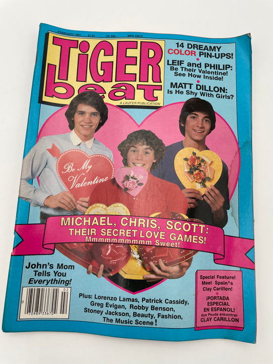 Tiger Beat Magazine - February 1981 #102105