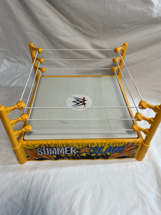 WWE Summer Slam Ring 2010 #100232