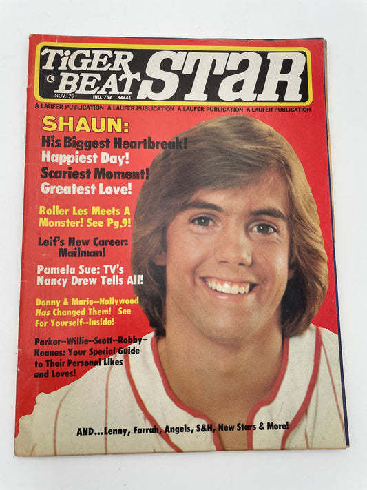 Tiger Beat Stars Magazine - November 1977 #102074