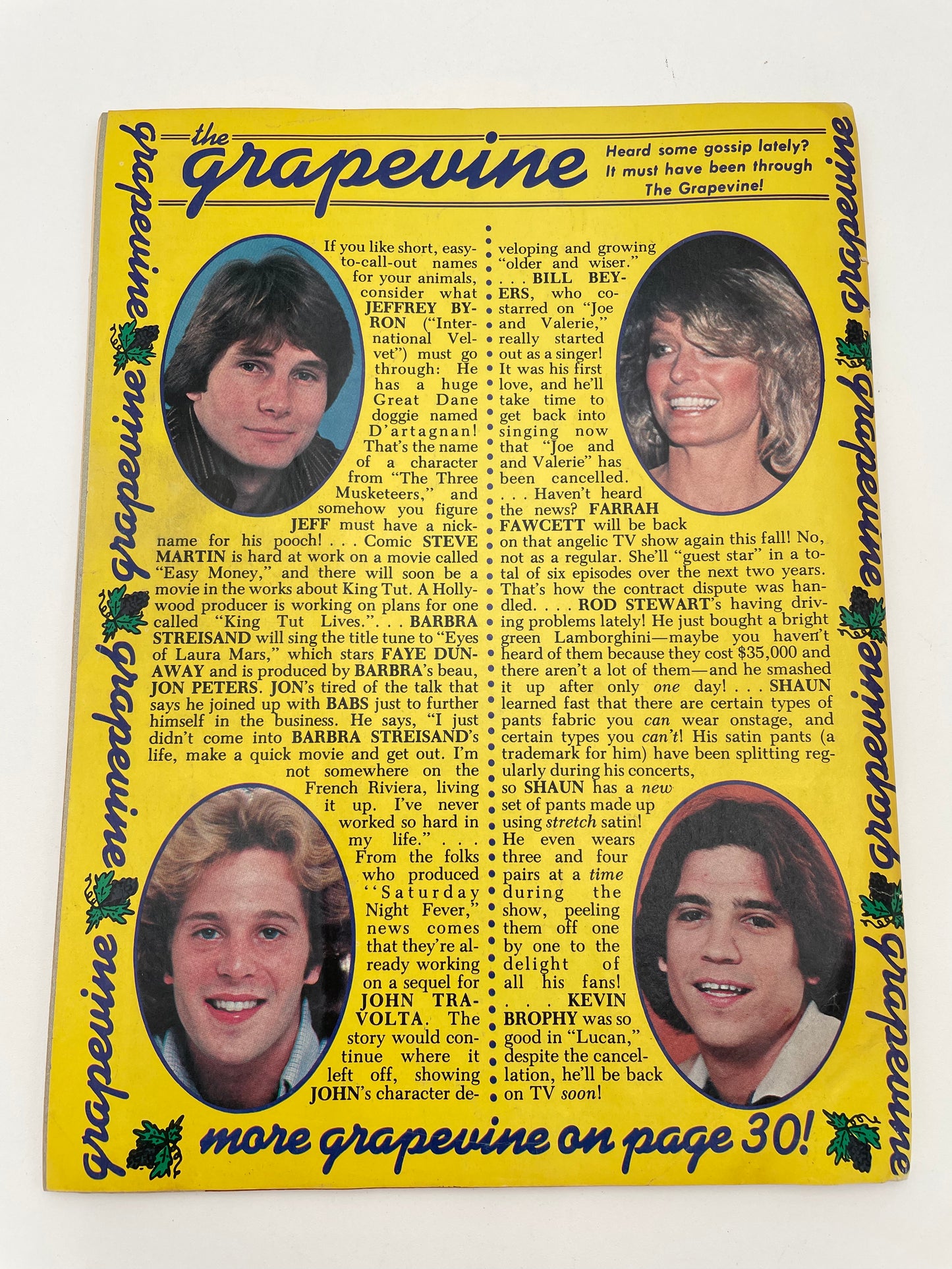 Tiger Beat Stars Magazine - August 1978 #102069