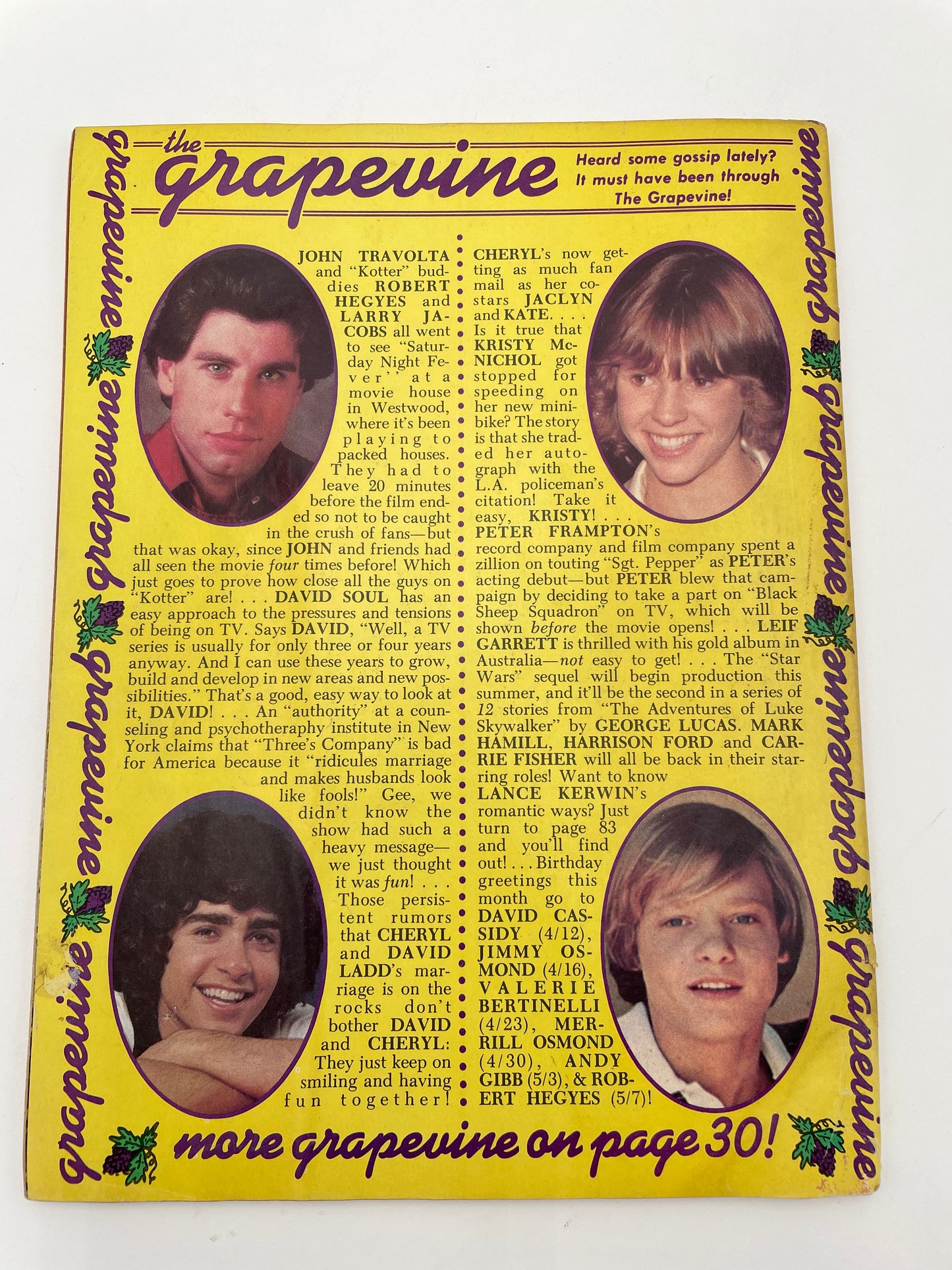 Tiger Beat Stars Magazine - June 1978 #102068