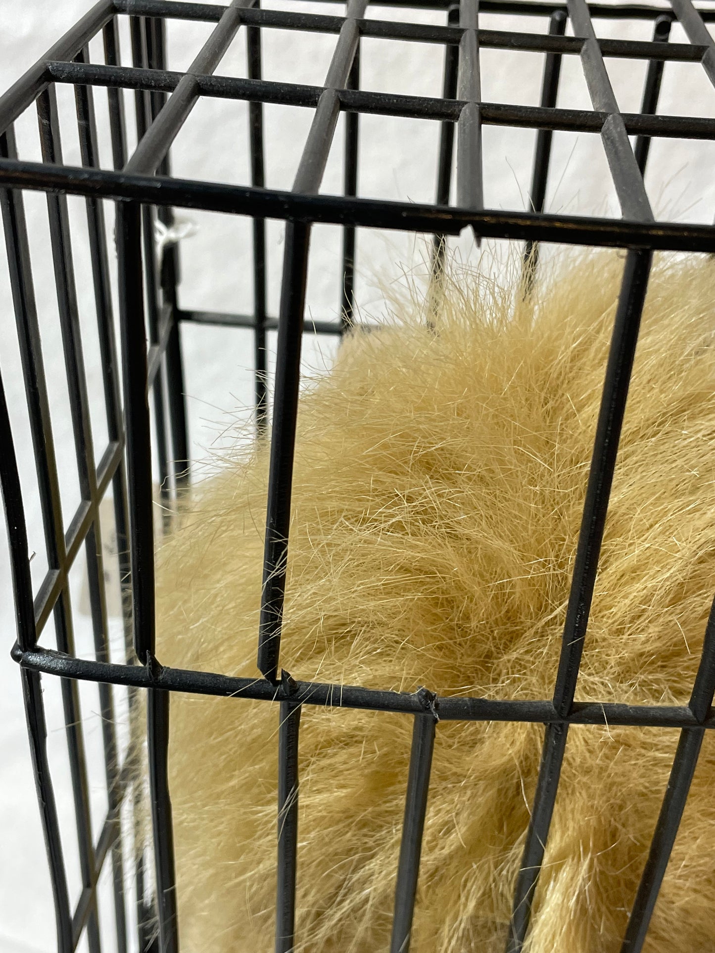 Singing Lion in cage 2000 #100130