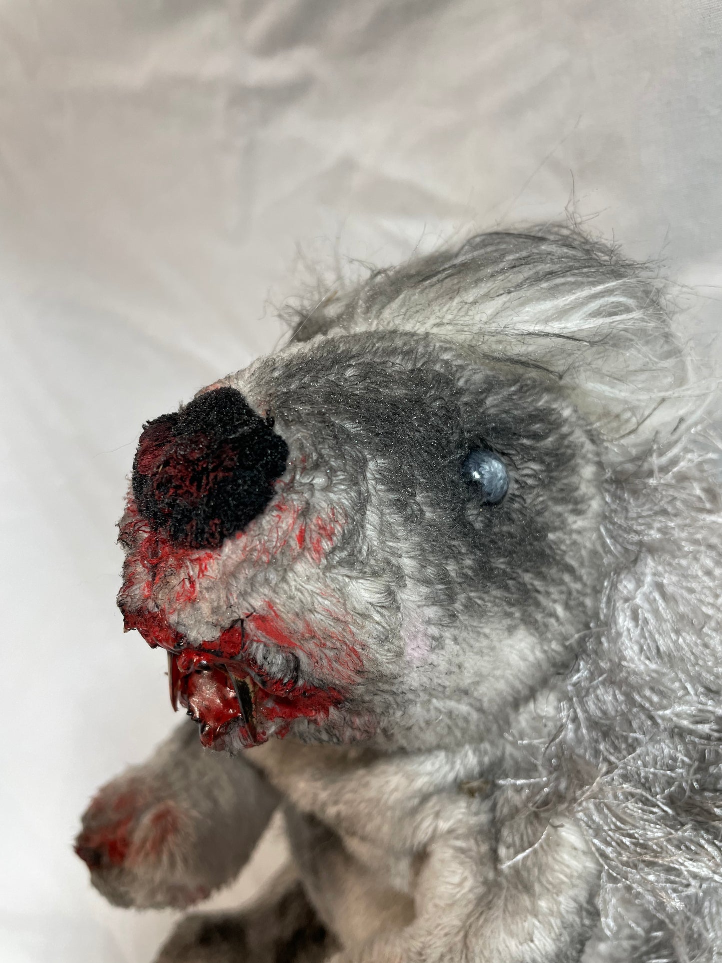 Zombie Hedgehog