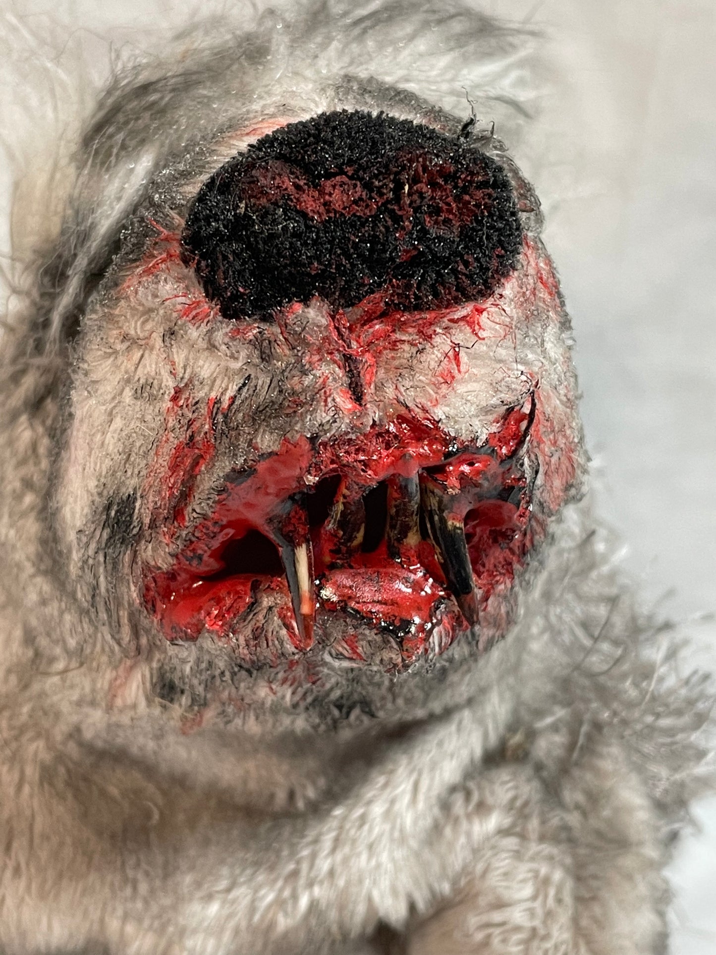 Zombie Hedgehog
