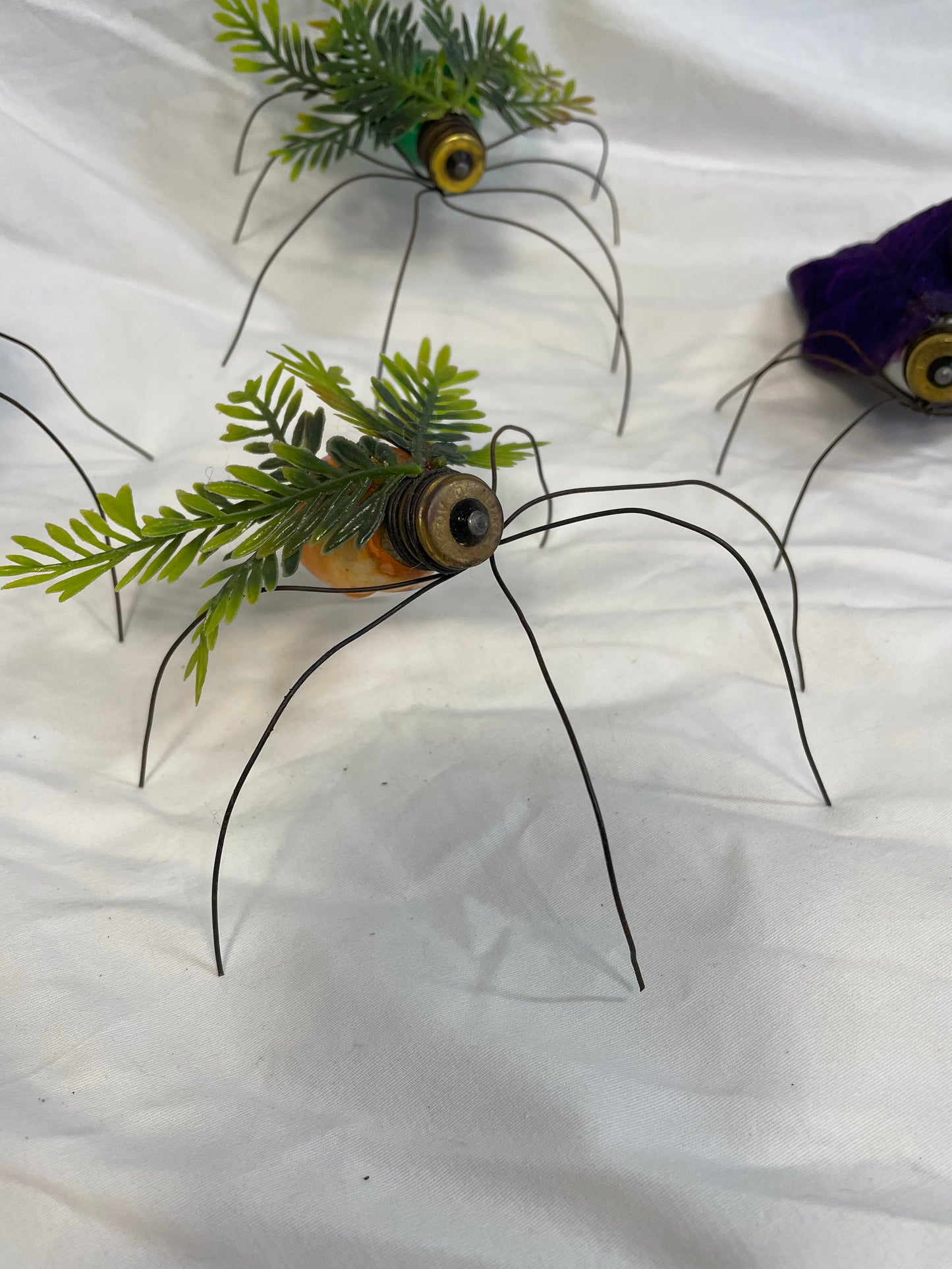 Lightbulb Plant Bugs