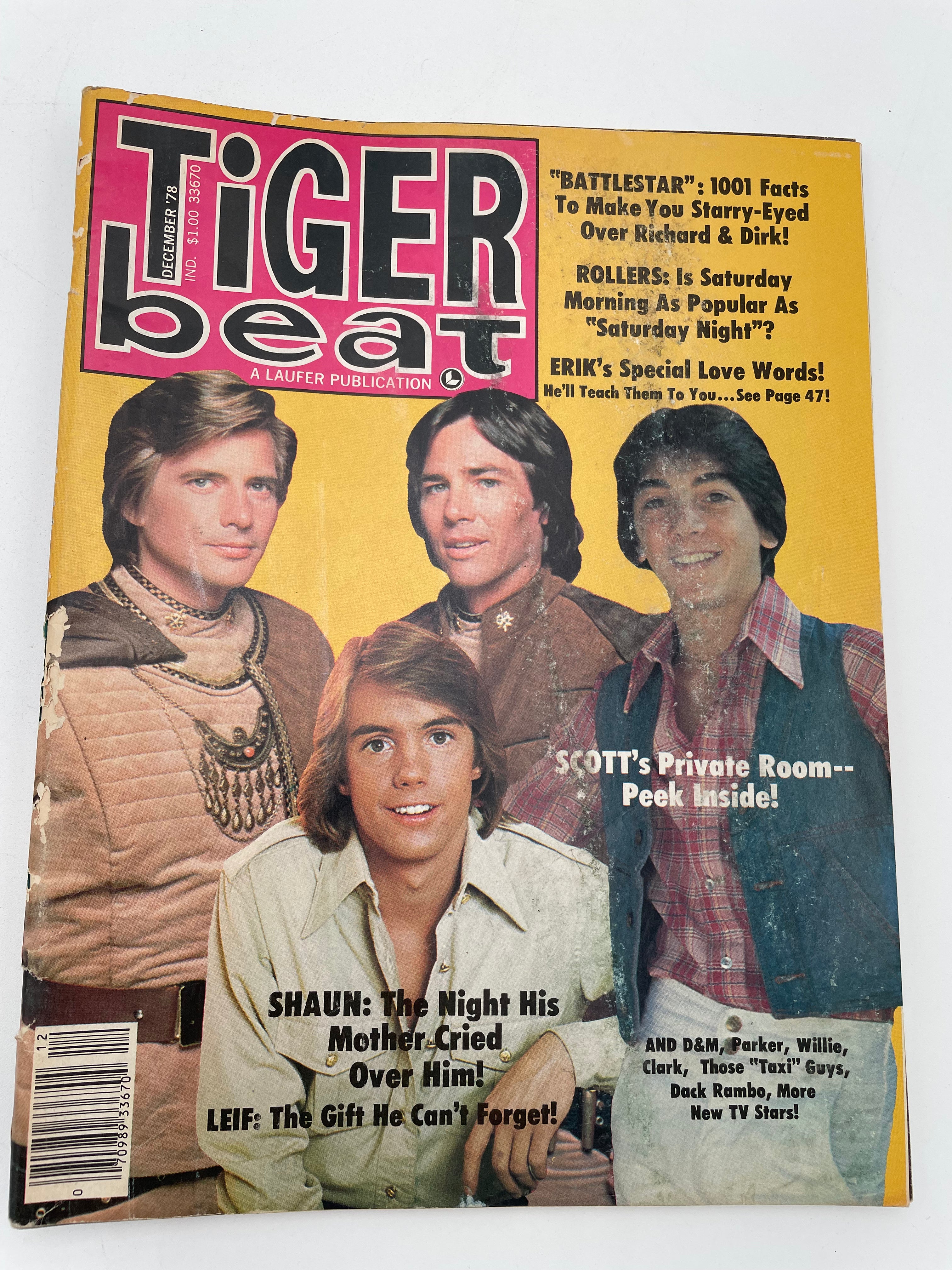 Tiger Beat Magazine