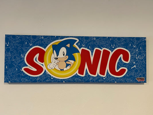 Sonic - Wall Decor - Canvas Print #104656
