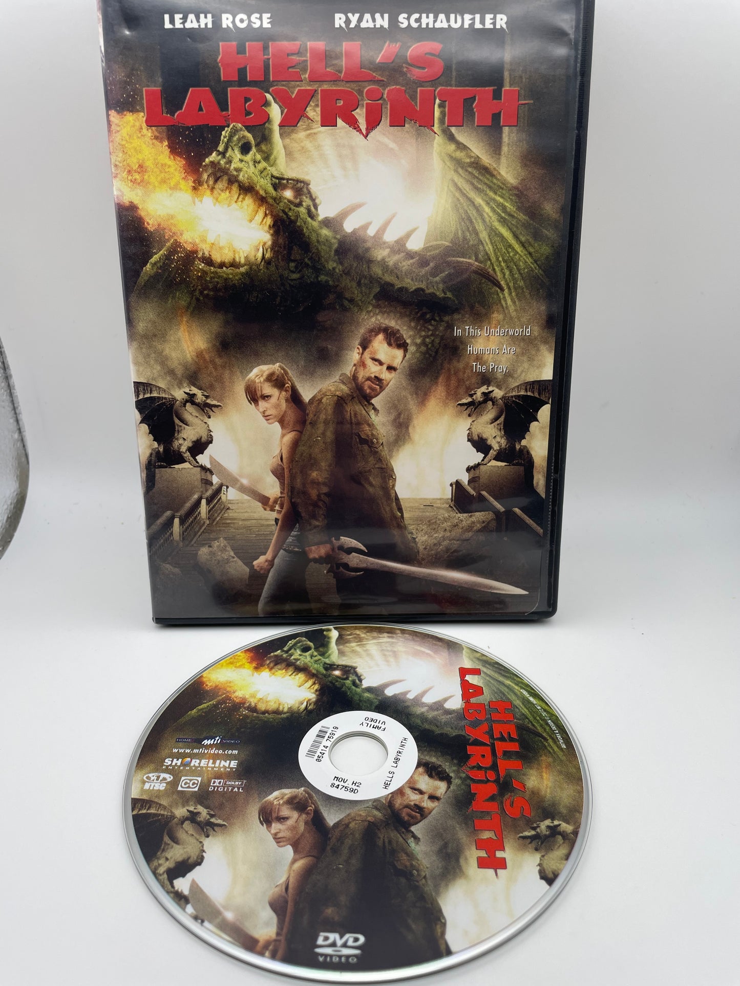 DVD - Hell’s Labyrinth 2012 #100835