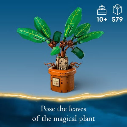 LEGO - 76433 Harry Potter - Mandrake 2024 #107162