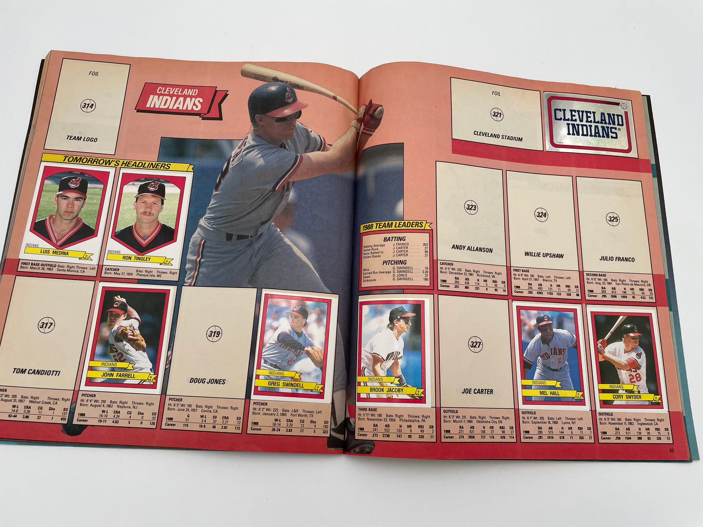 Panini Baseball ‘89 Sticker Book - 1989 #102057