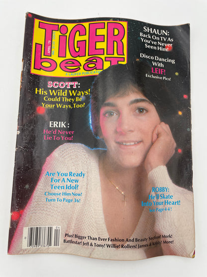 Tiger Beat Magazine - April 1979 #102104