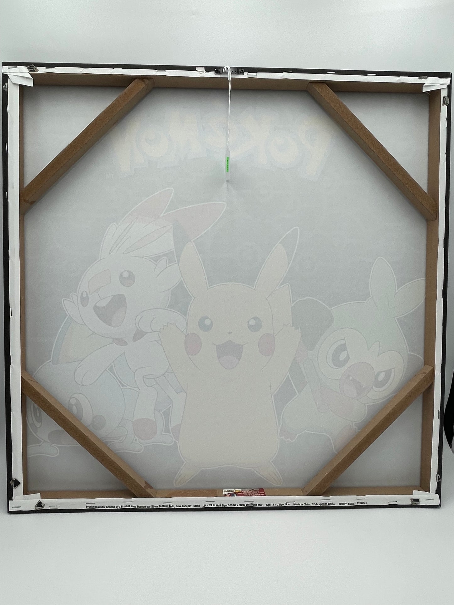 Pokémon - Canvas Print Wall Hanging 2022 #104331