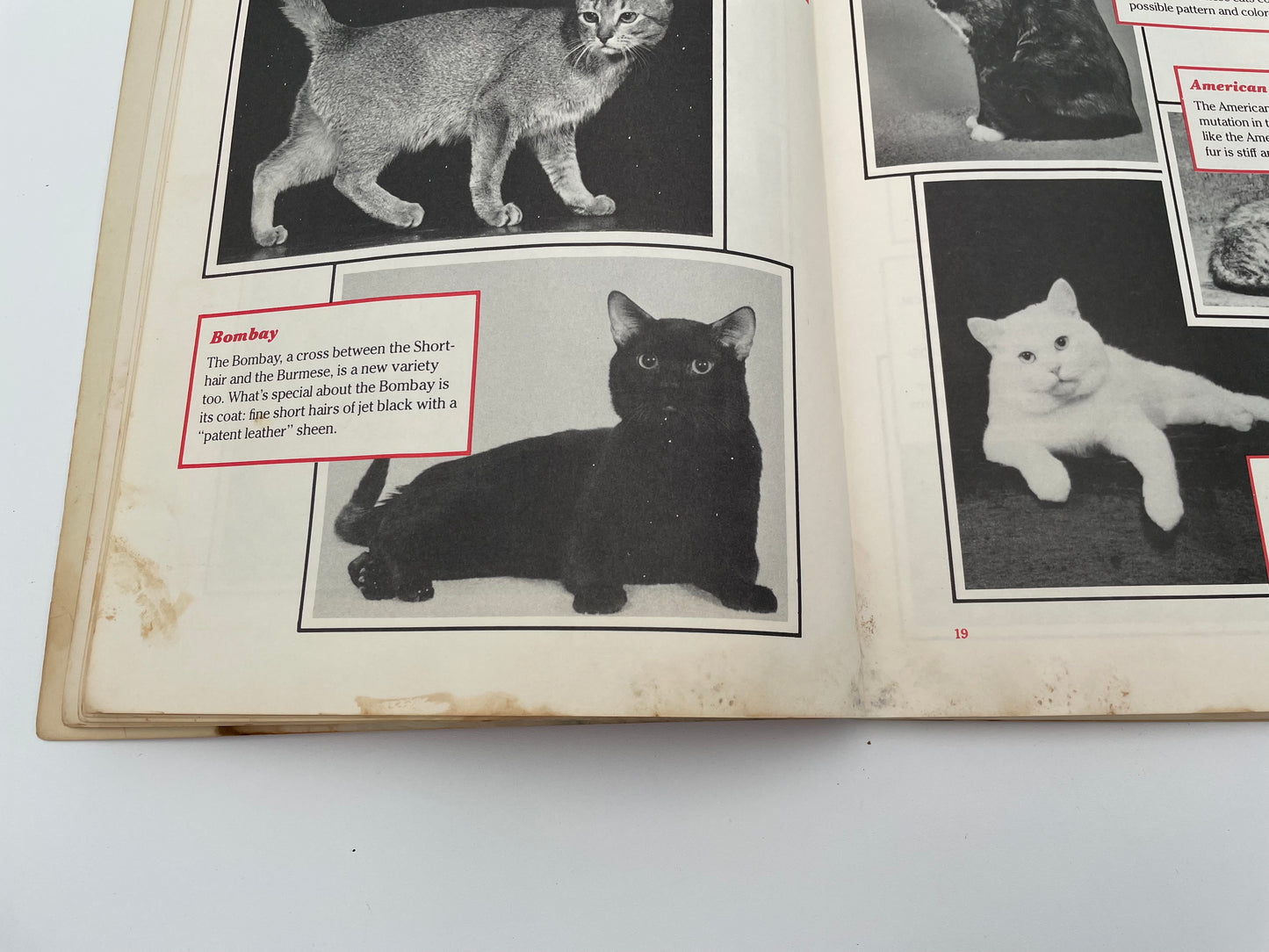 Garfield, The Complete Cat Book 1981 - #101992