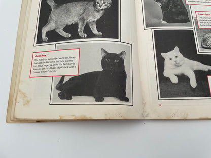 Garfield, The Complete Cat Book 1981 - #101992