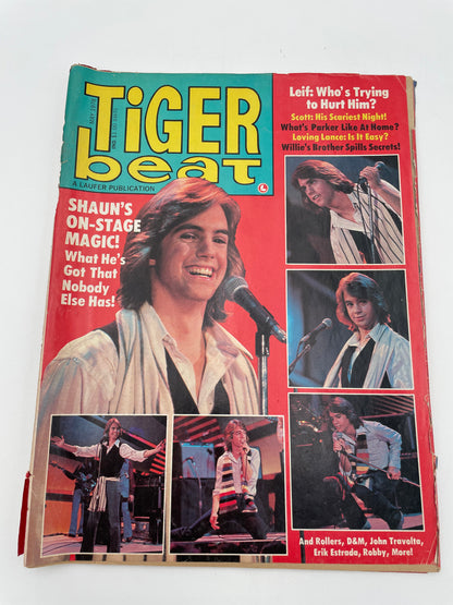 Tiger Beat Magazine - May 1978 #102127