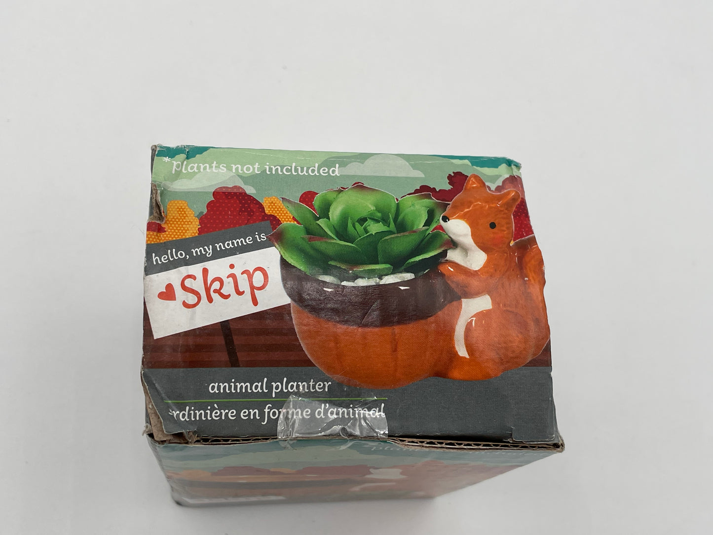Ceramic - Squirrel Planter “Skip” #104566
